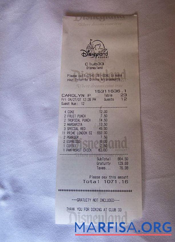 Realistic Disneyland payment receipt template